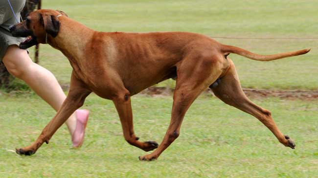 176
