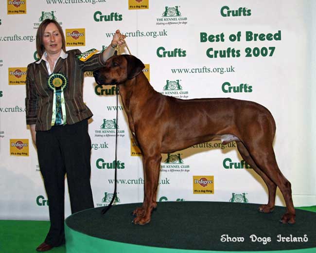 AlfieBOBCrufts2007